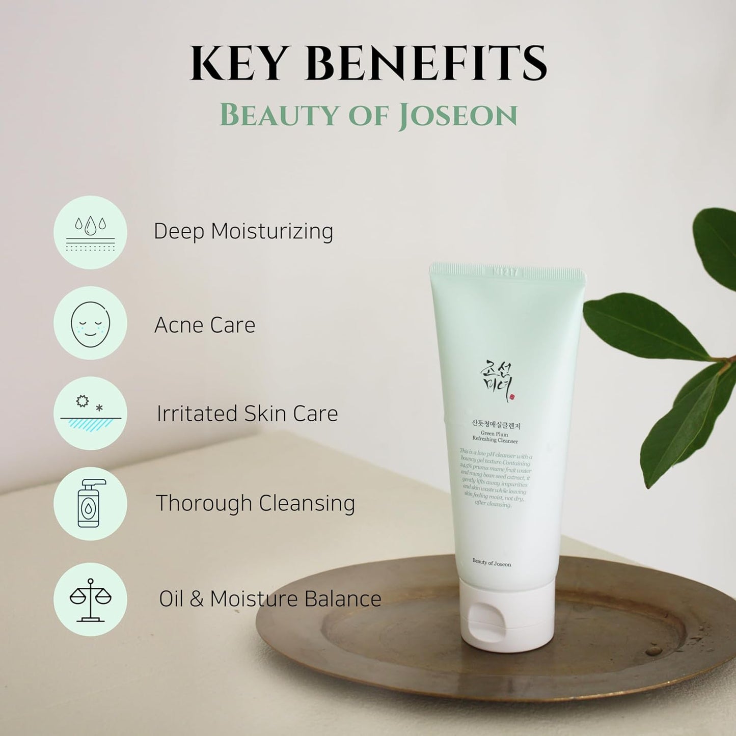 Green Plum Refreshing Cleanser (Limpiador refrescante de ciruela verde)