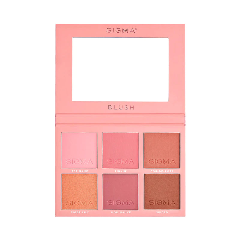 Blush Cheek Palette