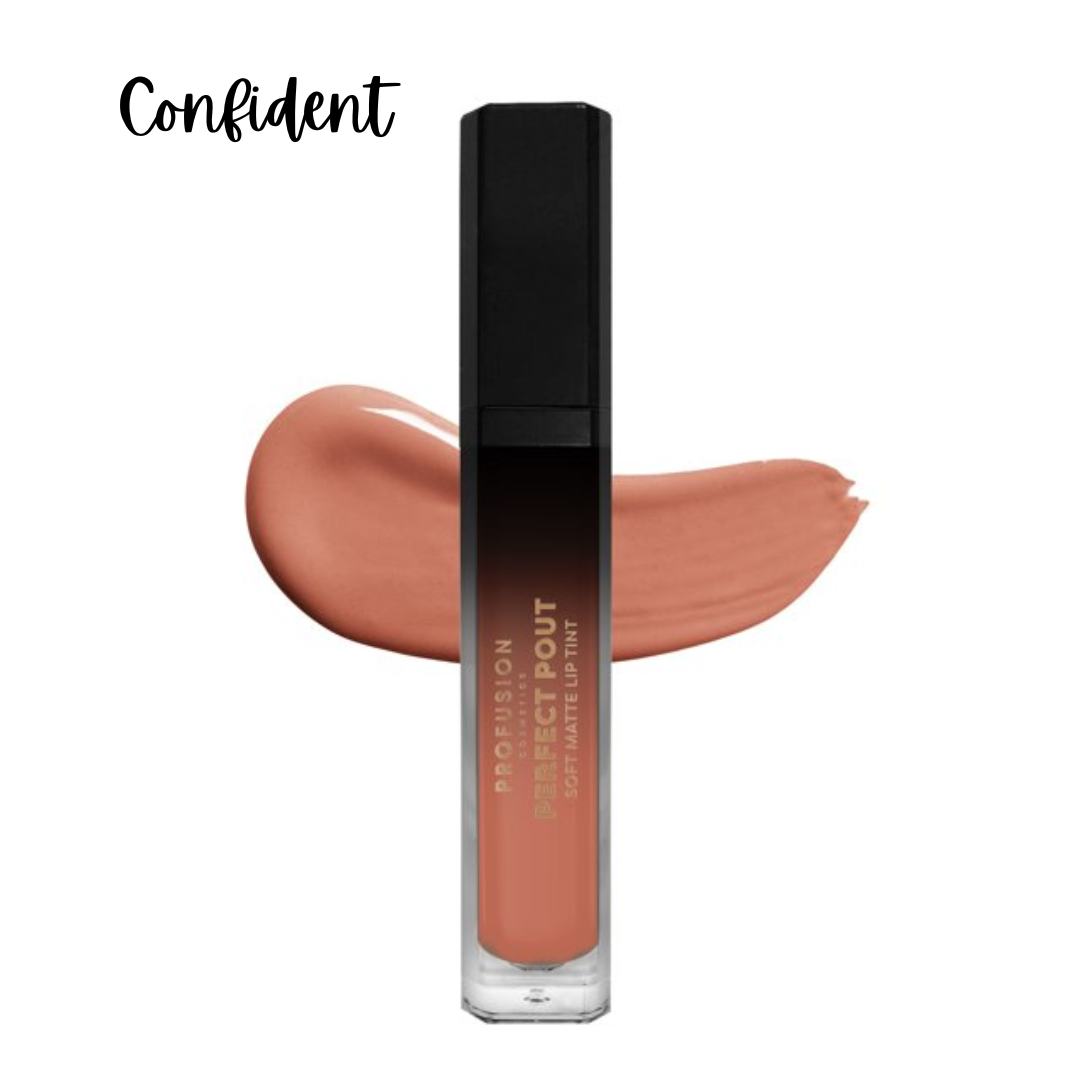 PERFECT POUT Soft Matte Lip Tint