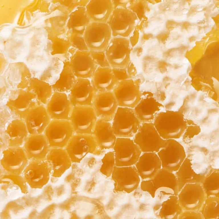 Honey Infused Hydrating Lip Oil -Watermelon Sugar (Aceite de labios)