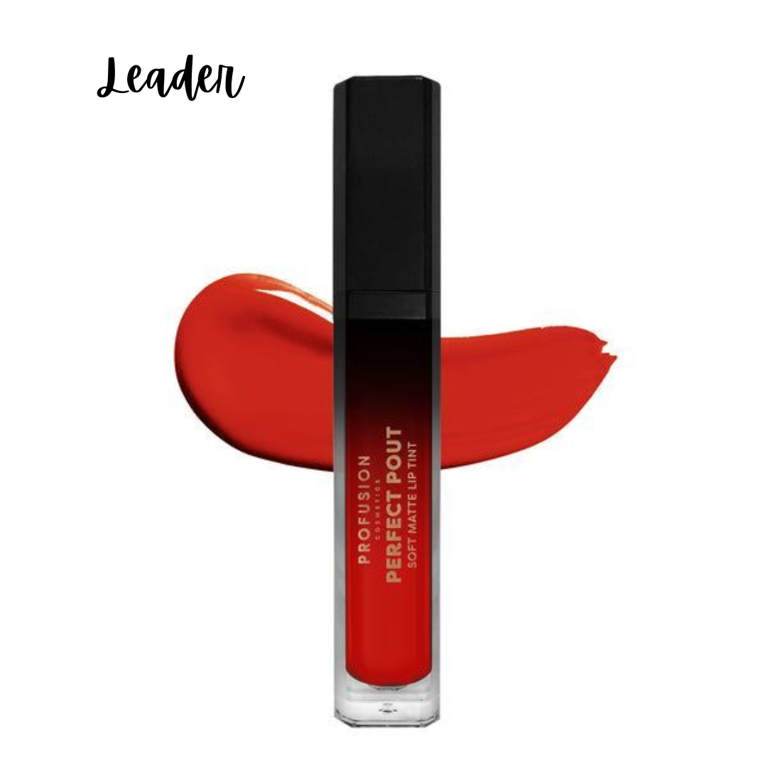 PERFECT POUT Soft Matte Lip Tint