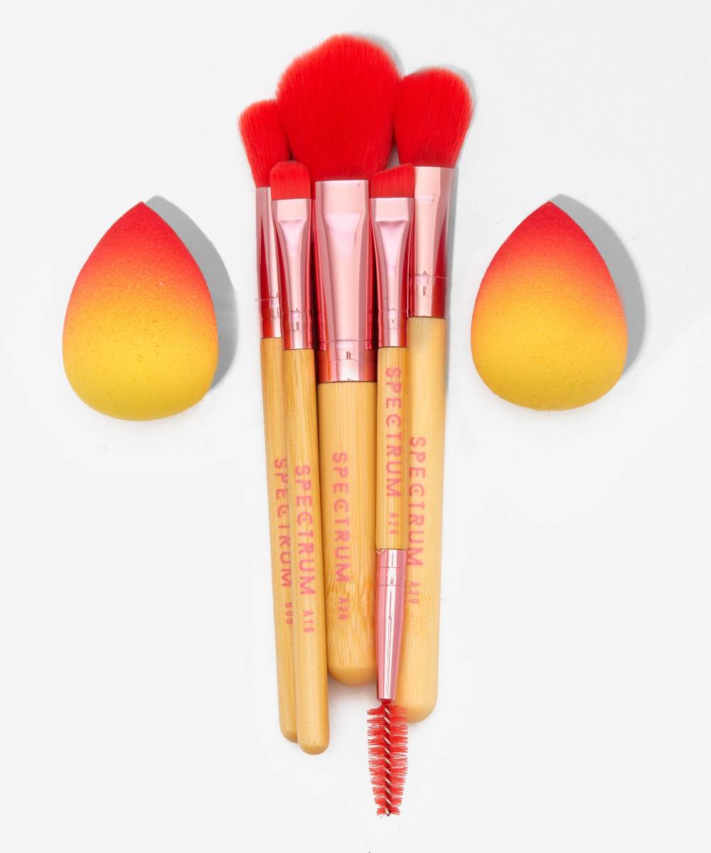Perfect Match Brush Set and Sponge Box