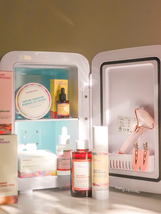 Mini Fridge