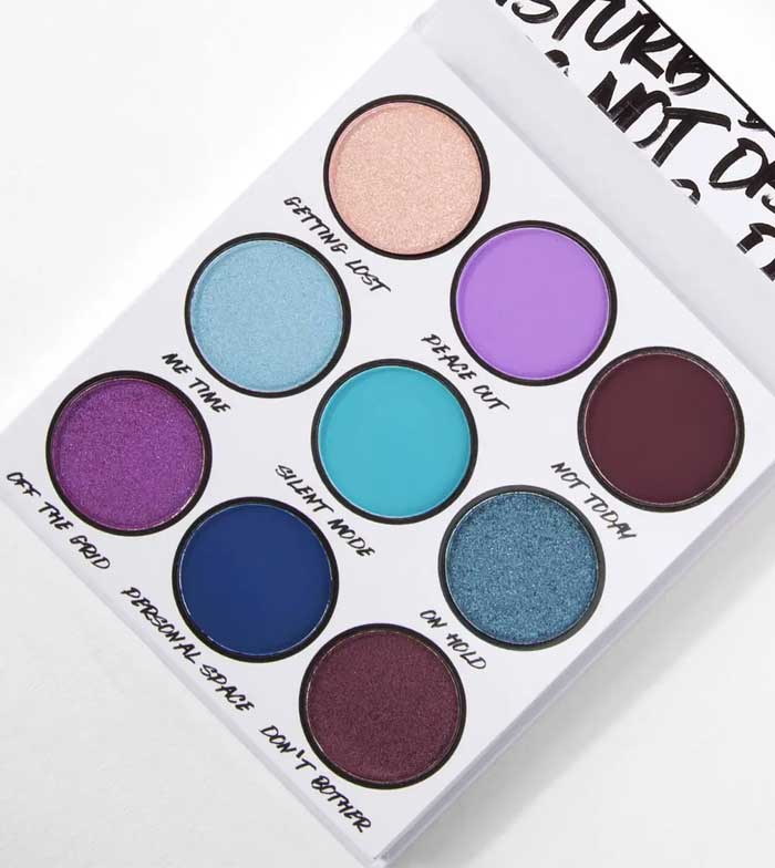 Do Not Disturb palette