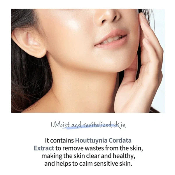Hyaluronic Acid Houttuynia Cordata Cream - 50g
