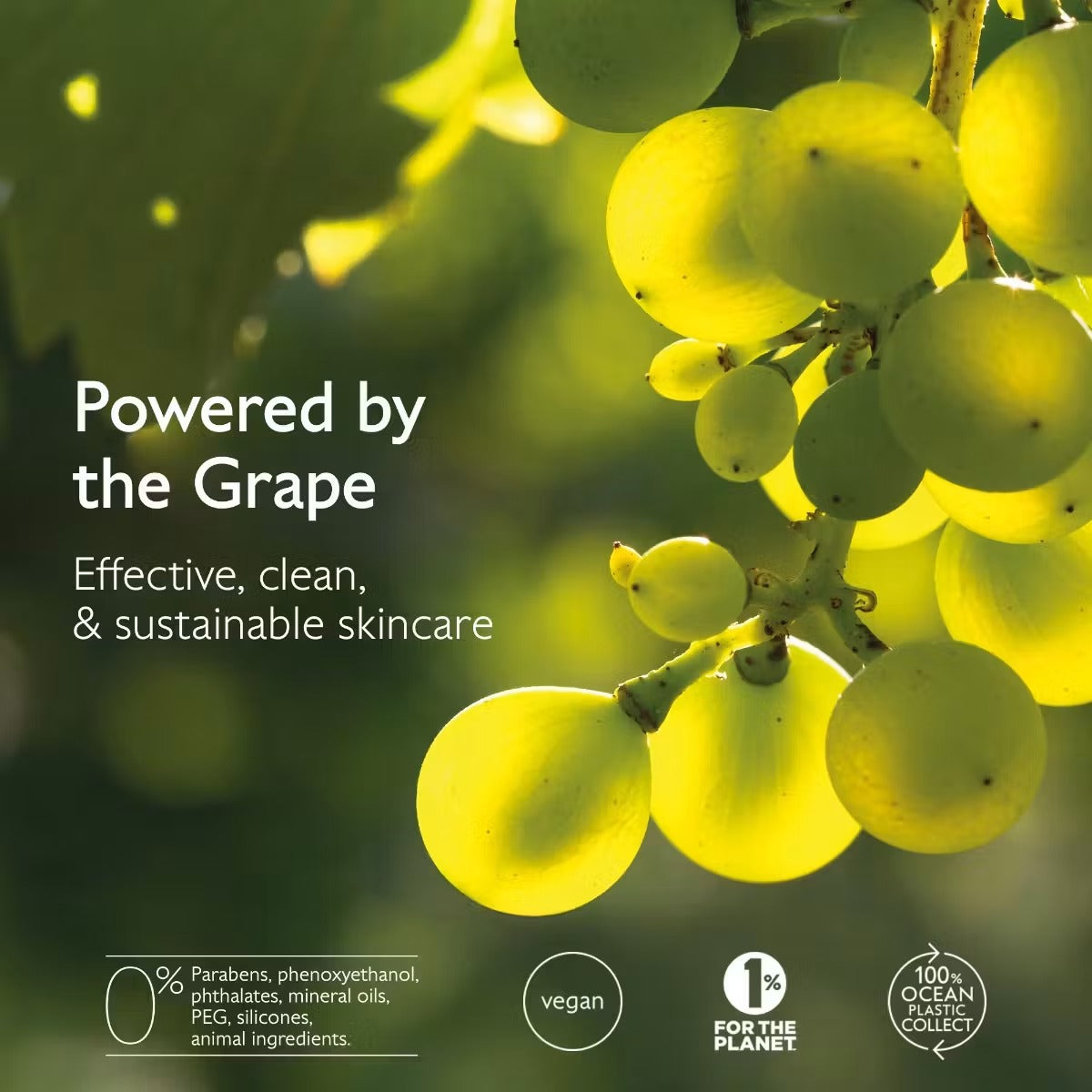 Vinopure tratamiento de ácido salicīlico natural