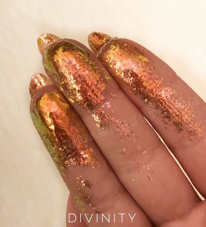 Chameleon Chips