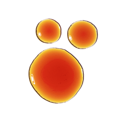 Pycnogenol 5%