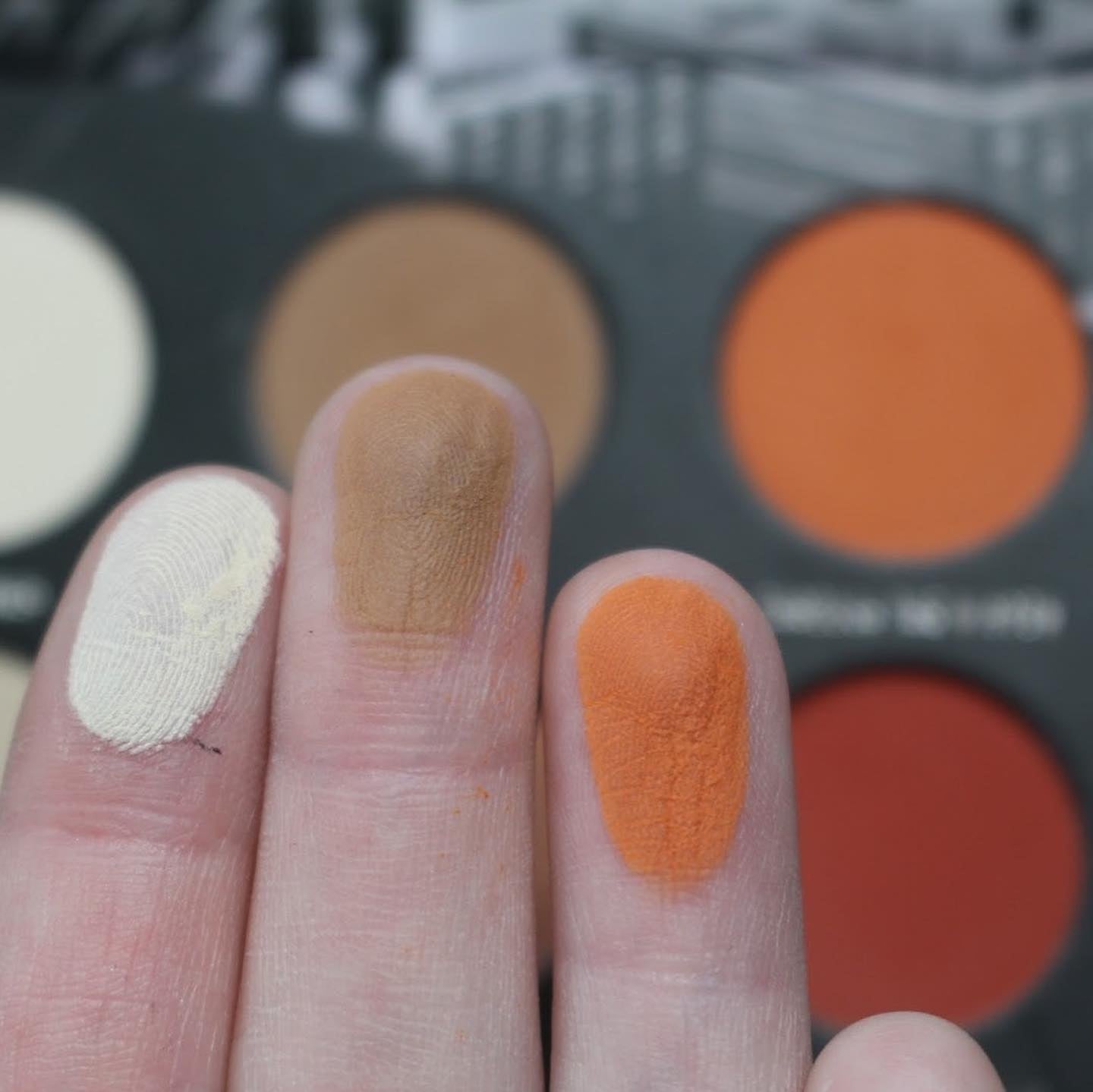 Matte Voyager Eyeshadow Palette