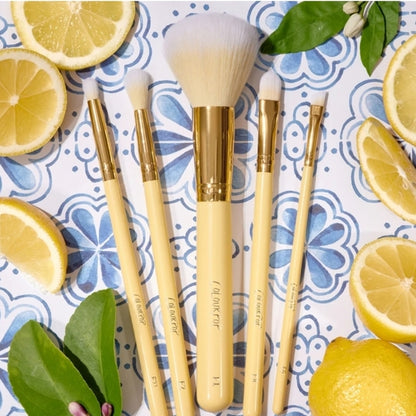 Limoncello Brush set